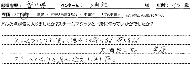 スチームマジック レビュー