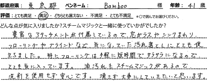 スチームマジック レビュー