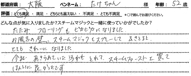 スチームマジック レビュー