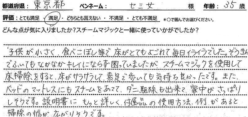 スチームマジック レビュー