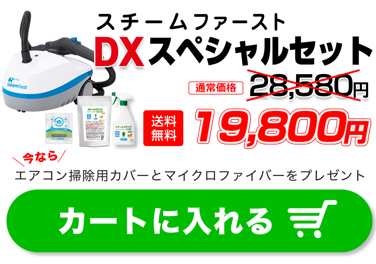 美品 スチームファースト スチームファーストDX スチームクリーナー