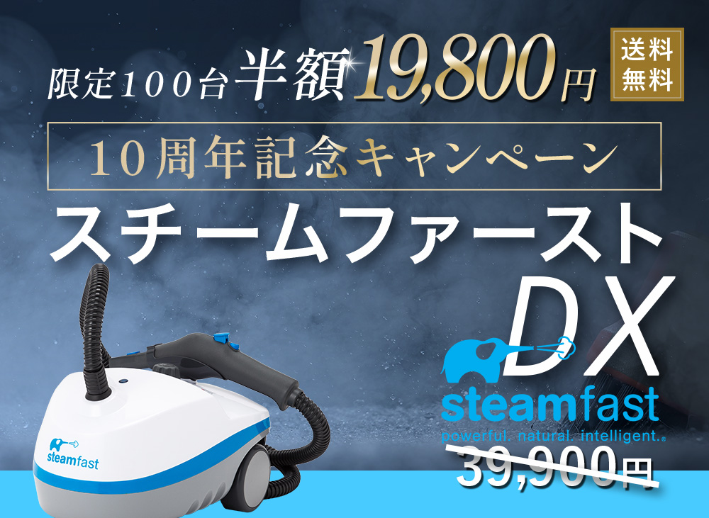 steam fast スチームファーストDXスペシャル スチームクリーナー-